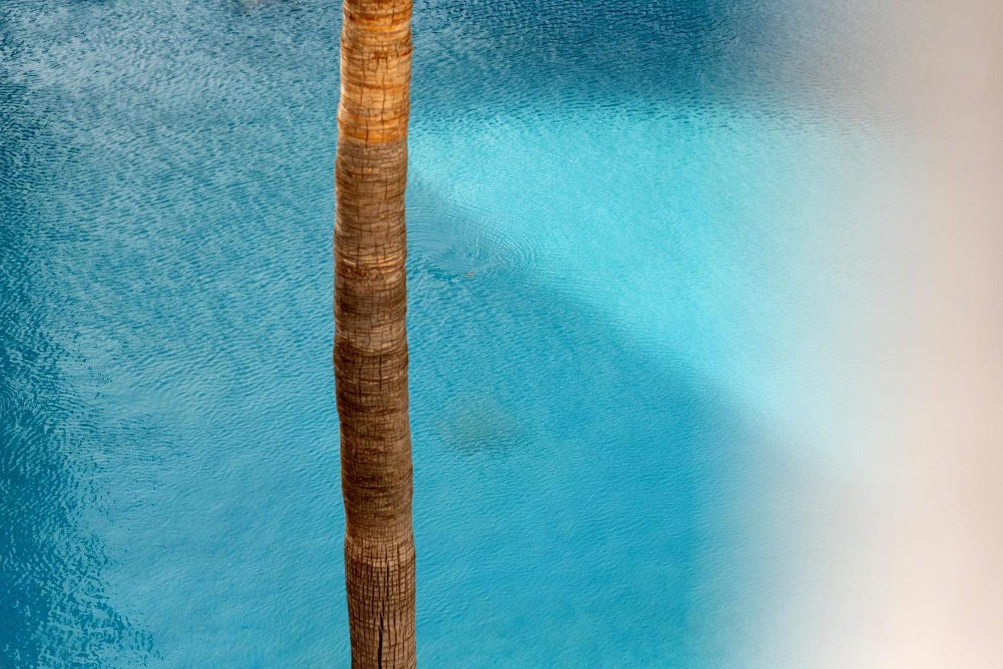 Hotel Capricho Cala Ratjada  Dış mekan fotoğraf
